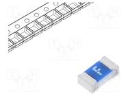 Fuse: fuse; ultra rapid; 500mA; 32V; SMD; 0603 VISHAY