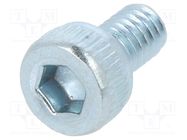 Screw; M2.5x4; 0.45; Head: cheese head; hex key; HEX 2mm; steel BOSSARD