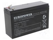 Re-battery: acid-lead; 12V; 5.5Ah; AGM; maintenance-free; EV 