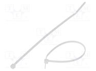 Cable tie; L: 142mm; W: 2.5mm; polyamide; 80N; natural; Ømax: 32mm PANDUIT