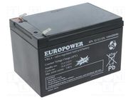 Re-battery: acid-lead; 12V; 12Ah; AGM; maintenance-free; EPL 