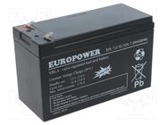 Re-battery: acid-lead; 12V; 7.2Ah; AGM; maintenance-free; EPL 