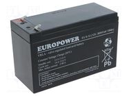 Re-battery: acid-lead; 12V; 8Ah; AGM; maintenance-free; EV 