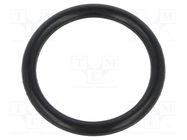 O-ring gasket; NBR caoutchouc; Thk: 2.5mm; Øint: 19mm; black 