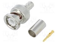 Connector: BNC; plug; male; straight; 50Ω; crimped; for cable; POM AMPHENOL RF