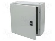 Enclosure: wall mounting; X: 300mm; Y: 300mm; Z: 150mm; Spacial CRN 