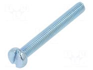 Screw; M3x25; 0.5; Head: cheese head; slotted; 0.8mm; steel; zinc BOSSARD