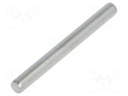 Cylindrical stud; A2 stainless steel; BN 684; Ø: 2.5mm; L: 25mm BOSSARD