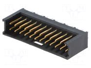 PIN: 24; male; THT; plug; vertical TE Connectivity