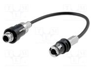 Cable; RAST II,SNAP plug; Car brand: Audi 4CARMEDIA