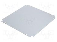 Mounting plate; steel; Plating: zinc RITTAL