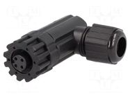 Connector: M12; plug; PIN: 3; female; 250V; angled 90°; IP67,IP68 AMPHENOL LTW