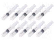 Syringe; 60ml; transparent; Luer Lock; polypropylene; 10pcs. FISNAR