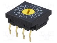 Encoding switch; HEX/BCD; Pos: 16; THT; Rcont max: 100mΩ; 10x10x4mm NKK SWITCHES