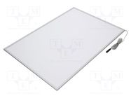 Lamp: LED light panel; 4000K; Lumaire Basic; Mat: plexiglass PMMA LEDDEX