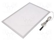 Lamp: LED light panel; 4000K; Lumaire Basic; Mat: plexiglass PMMA LEDDEX