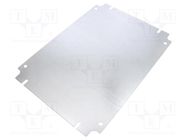 Mounting plate; steel; Plating: zinc RITTAL