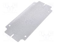 Mounting plate; steel; Plating: zinc RITTAL