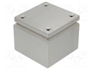 Enclosure: multipurpose; X: 150mm; Y: 150mm; Z: 120mm; KL; natural RITTAL