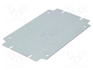 Mounting plate; steel; Plating: zinc RITTAL