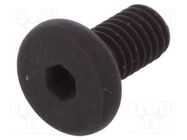 Screw; M3x6; 0.5; Head: cheese head; hex key; HEX 1,5mm; steel BOSSARD