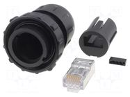 Connector: RJ45; plug; DC; PIN: 8; Cat: 6; shielded; 8p8c; IP67,IP68 SWITCHCRAFT