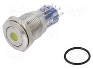 Switch: vandal resistant; DPDT; 3A/250VAC; IP67; ON-(ON); amber BULGIN