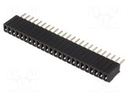 Connector: pin strips; socket; female; PIN: 24; THT; straight; 1x24 CONNFLY