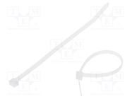 Cable tie; L: 160mm; W: 4.8mm; polyamide; 215N; natural; -40÷85°C AKS ZIELONKA