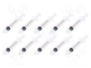 Syringe; 10ml; transparent; Luer Lock; polypropylene; 10pcs. FISNAR