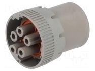 Connector: circular; plug; female; HD10; for cable; PIN: 5 DEUTSCH