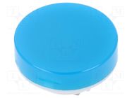 Cap; LB series; Ø19x9mm; blue-white 