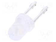 LED lamp; KB series,LB series,YB series; Ø3.1x5mm NKK SWITCHES