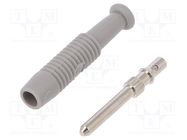 Connector: 2mm banana; plug; 6A; 60VDC; grey; nickel plated; 6mΩ HIRSCHMANN T&M