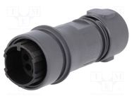 Connector: circular; plug; male; PIN: 8; w/o contacts; for cable BULGIN