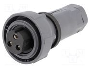 Connector: circular; plug; female; PIN: 3; Buccaneer 7000; UL94V-0 BULGIN