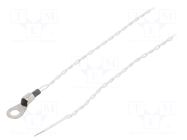 Sensor: temperature; NTC; 10kΩ; -40÷125°C; Leads: leads x2; 0.5m TEWA TEMPERATURE SENSORS
