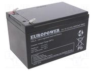 Re-battery: acid-lead; 12V; 13Ah; AGM; maintenance-free; EV EUROPOWER