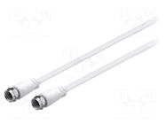 Cable; 10m; F plug,both sides; PVC; white; 75Ω Goobay