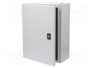 Enclosure: wall mounting; X: 300mm; Y: 400mm; Z: 150mm; Spacial CRN 