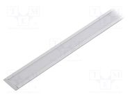 Profiles for LED modules; white; natural; L: 1m; GROOVE14 TOPMET