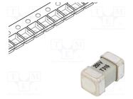 Fuse: fuse; time-lag; 315mA; 250V; SMD; ceramic; 8x4.5x4.5mm; brass SIBA