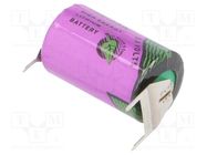 Battery: lithium (LTC); 1/2AA; 3.6V; 1200mAh; non-rechargeable 