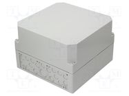 Enclosure: junction box; X: 300mm; Y: 300mm; Z: 209mm; polystyrene SPELSBERG