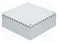 Enclosure: multipurpose; X: 300mm; Y: 300mm; Z: 120mm; Spacial SBM SCHNEIDER ELECTRIC