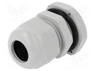 Cable gland; M20; 1.5; IP67; polyamide; grey PAWBOL