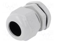 Cable gland; M25; 1.5; IP68; polyamide; grey PAWBOL