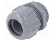 Cable gland; PG29; IP68; polyamide; dark grey LAPP