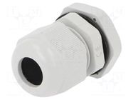 Cable gland; PG11; IP68; polyamide; grey PAWBOL