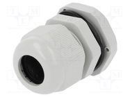 Cable gland; PG13,5; IP67; polyamide; grey PAWBOL